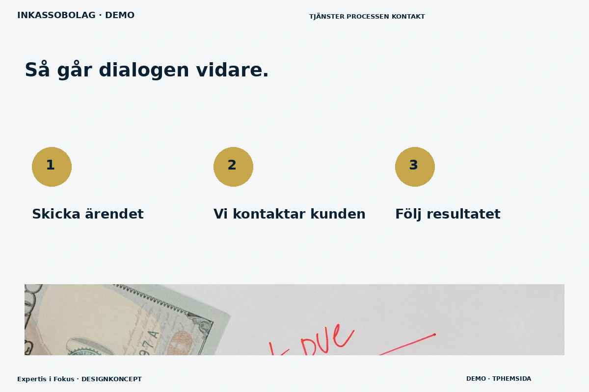 Expertis i Fokus – Så fungerar dialogen för inkassobolag