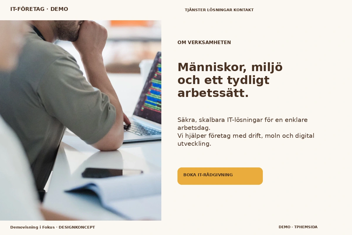 Demovisning i Fokus – Om verksamheten för it-företag