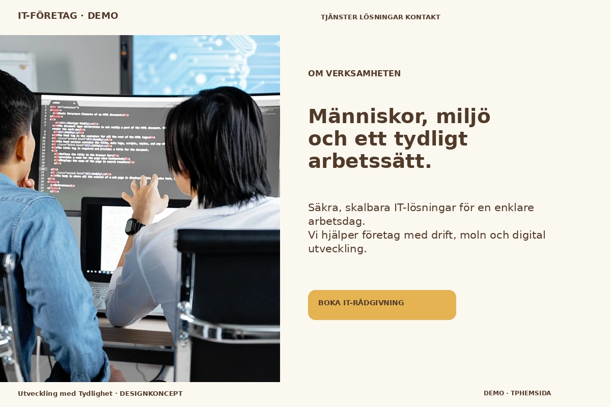 Utveckling med Tydlighet – Om verksamheten för it-företag