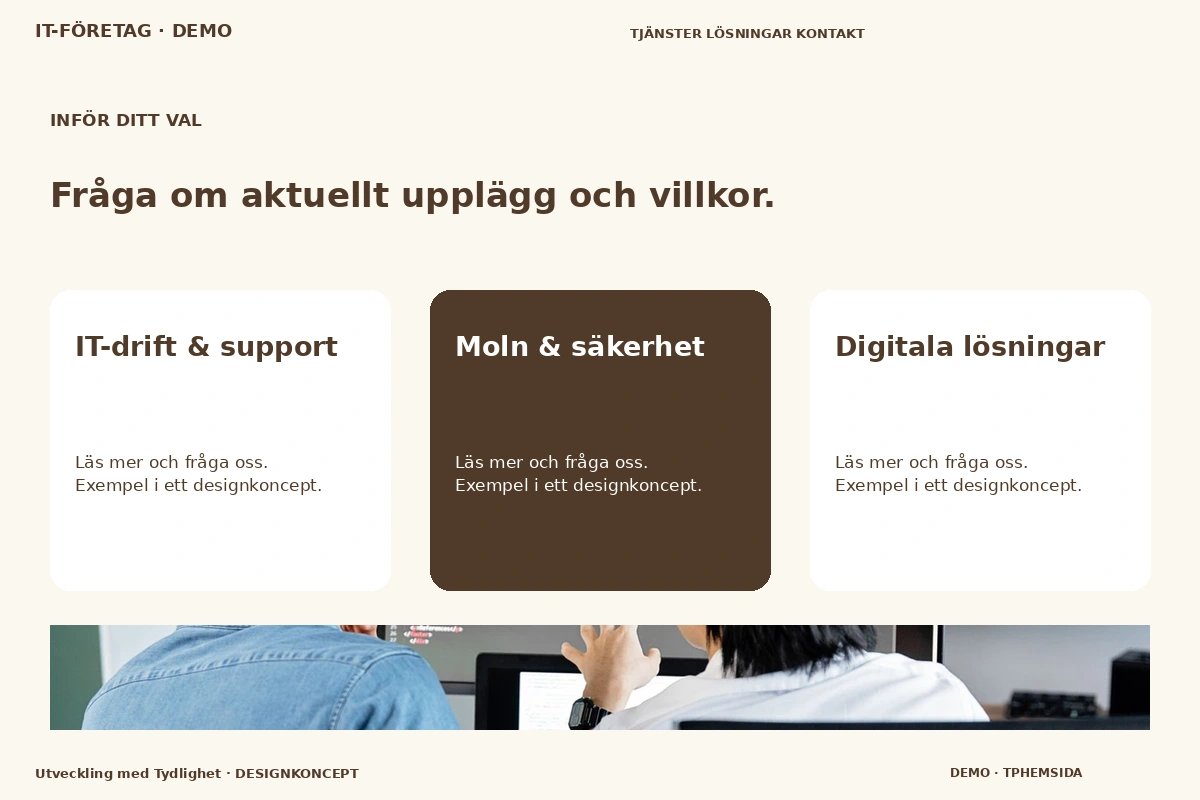 Utveckling med Tydlighet – Alternativ & villkor för it-företag