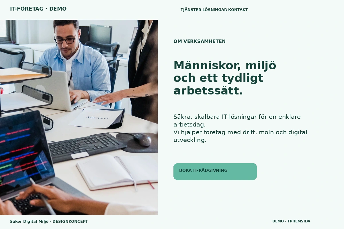 Säker Digital Miljö – Om verksamheten för it-företag