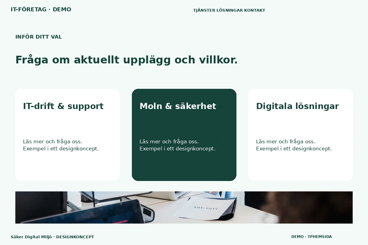 Säker Digital Miljö – Alternativ & villkor för it-företag