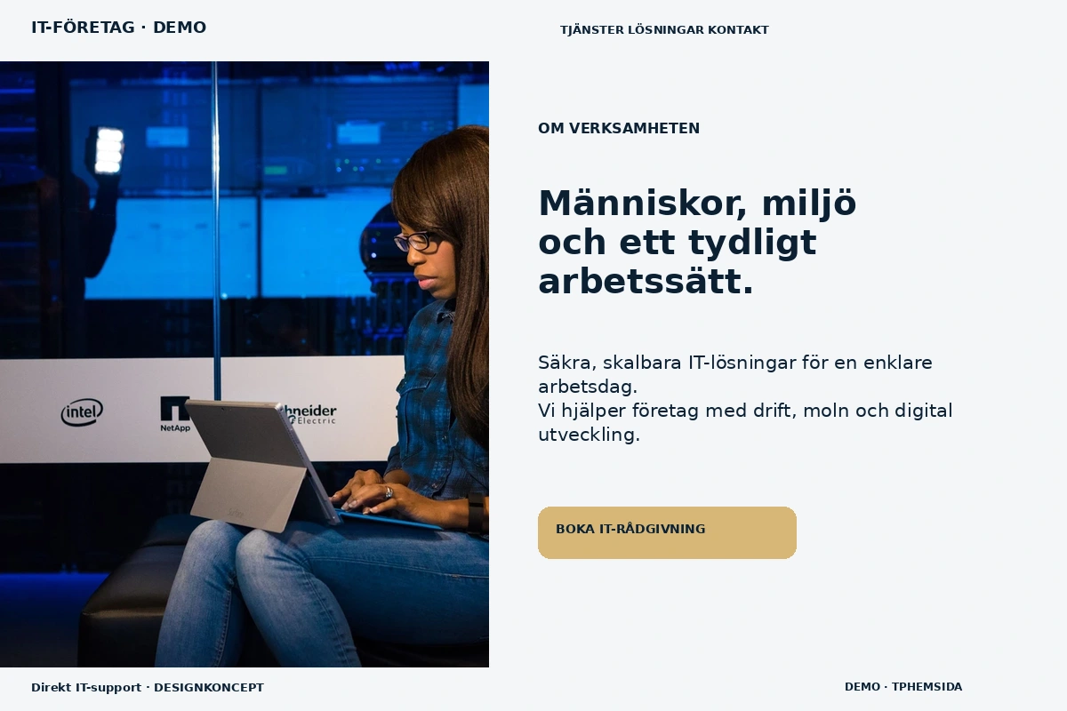 Direkt IT-support – Om verksamheten för it-företag