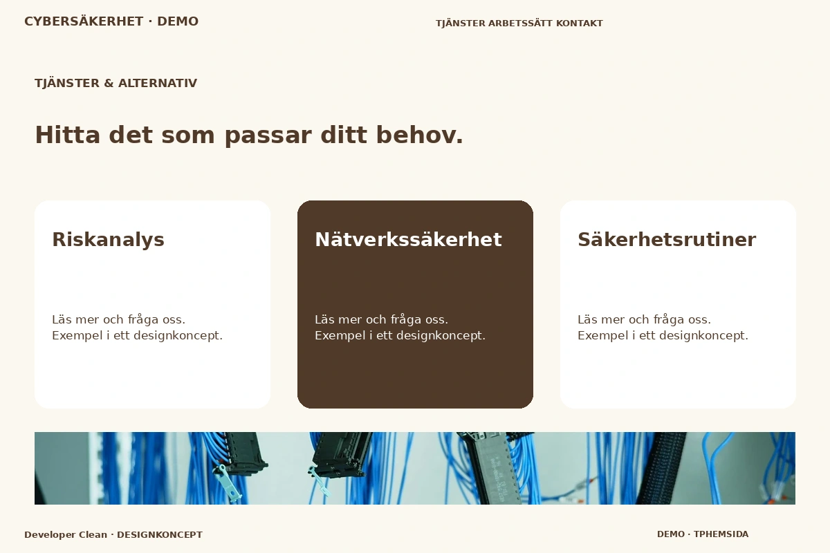 Developer Clean – Tjänster & alternativ för cybersäkerhet