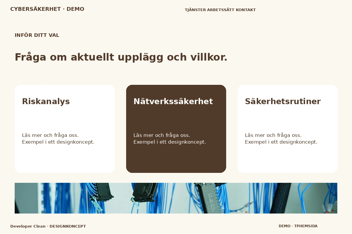 Developer Clean – Alternativ & villkor för cybersäkerhet