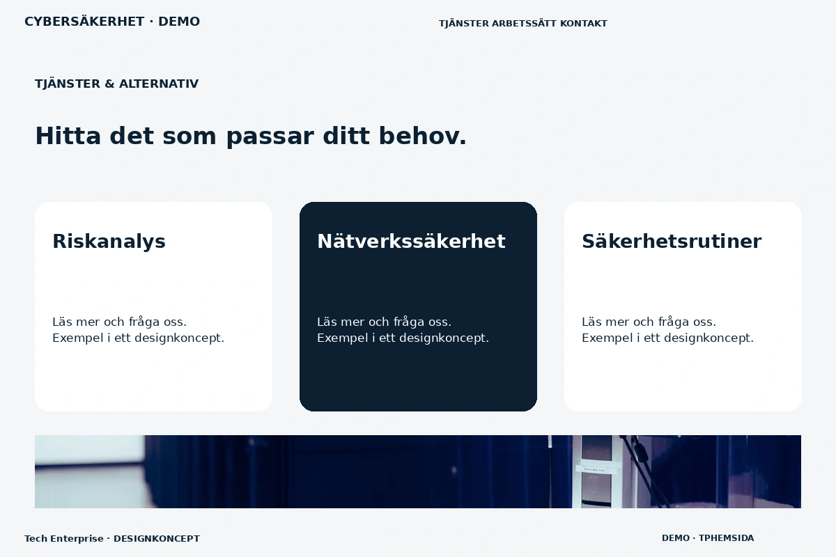 Tech Enterprise – Tjänster & alternativ för cybersäkerhet
